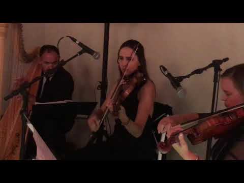 Dog days are over espaço Klaine Violinarte Harpa violino  string QUARTET Violin harp violoncello