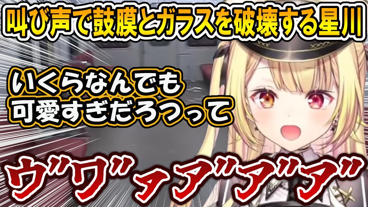 【まとめ】叫び声でリスナーの鼓膜と窓ガラスを破壊する星川サラ【星川サラ/にじさんじ/切り抜き/8番のりば】