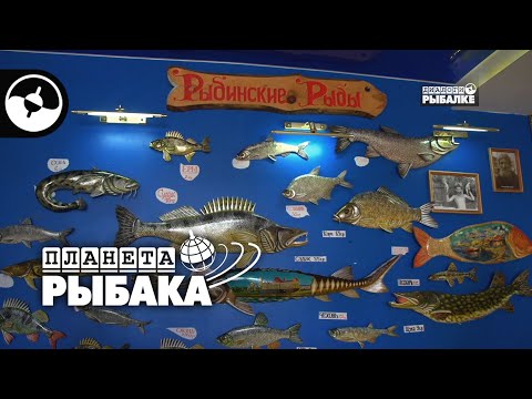 Рыбинск глазами рыболова | Планета рыбака