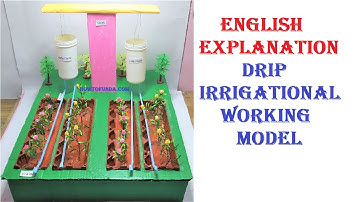 drip irrigation working model explanation in english video | without water pump | howtofunda