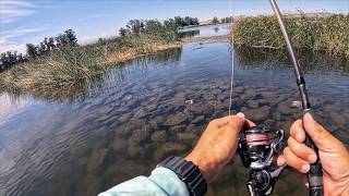 This is a great place to kayak fish