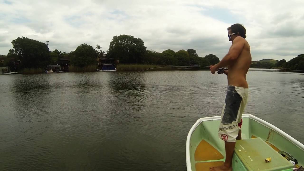 Springer - Fly Fishing South Africa