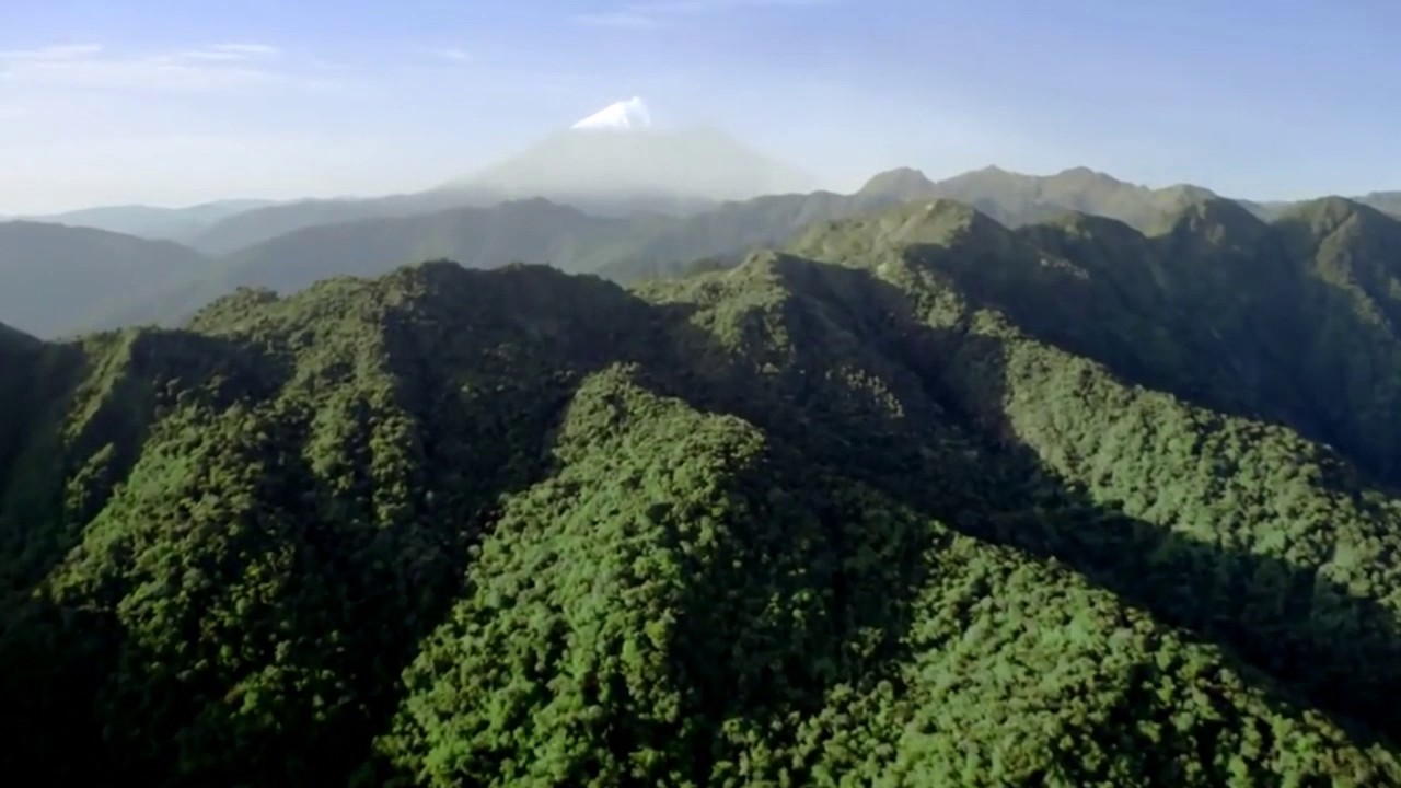 AGORUME - TATO GOMEZ