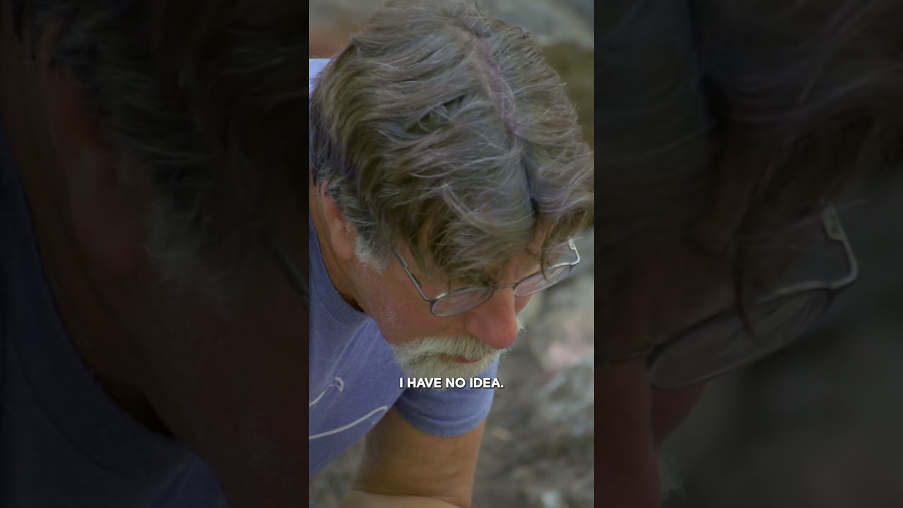 The Most Interesting Find Yet! | The Curse of Oak Island | #shorts