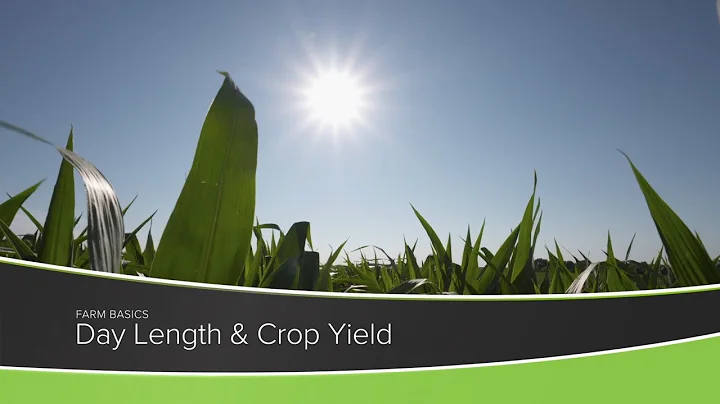 Farm Basics #1211 Day Length and Crop Yield (Air Date 6-20-21)