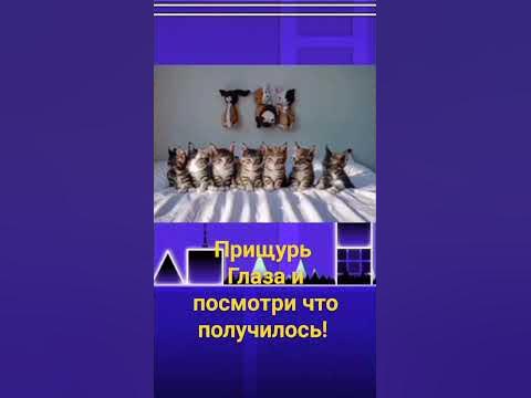 #геомитридеш - YouTube
