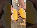 Just a River Rock… Until It Revealed Liquid Gold Inside!