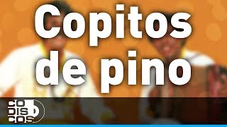 Miniatura de vídeo de "Copitos De Pino, Binomio De Oro - Audio"