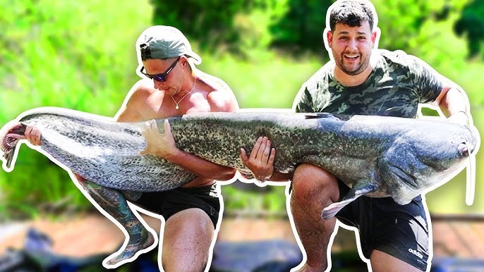 Monster Catfish Fishing