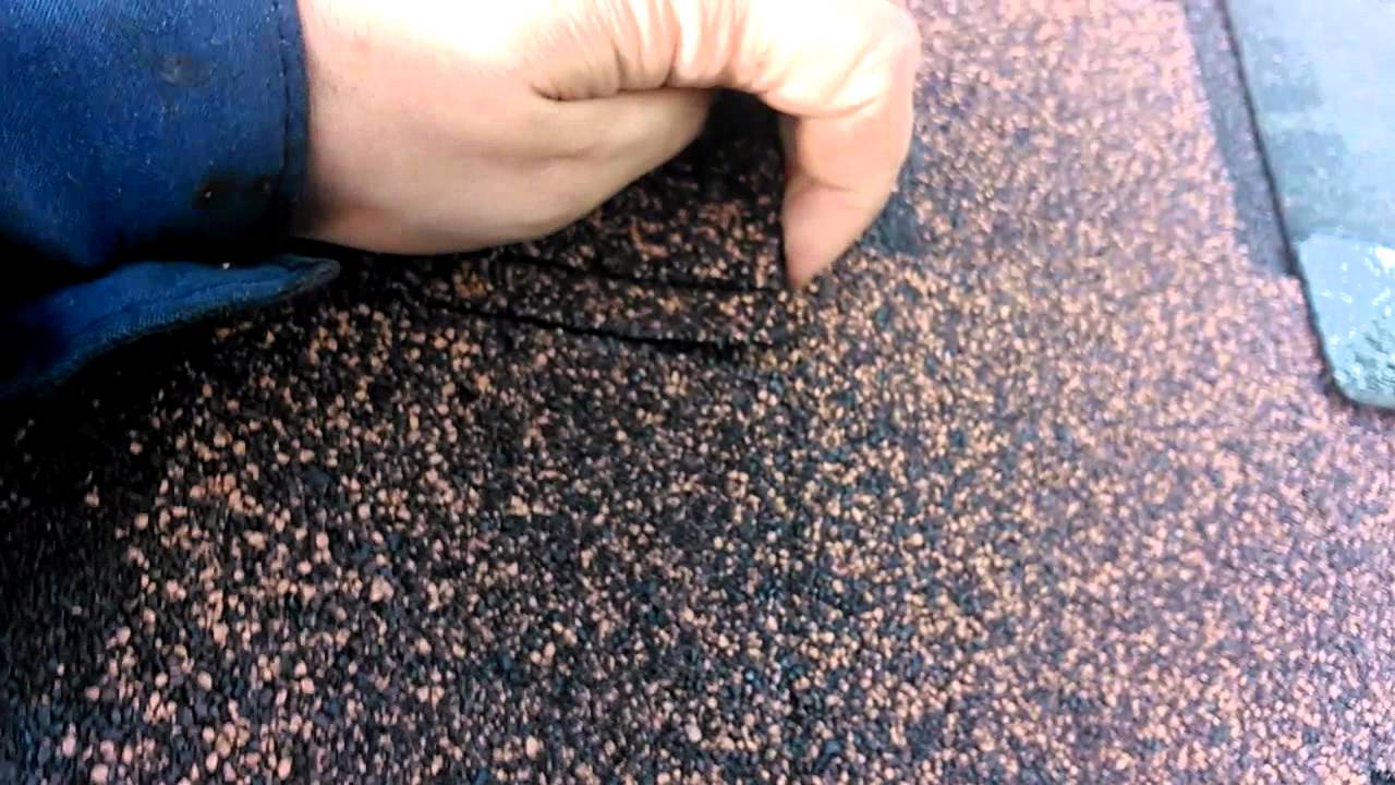аризона шинглас фото