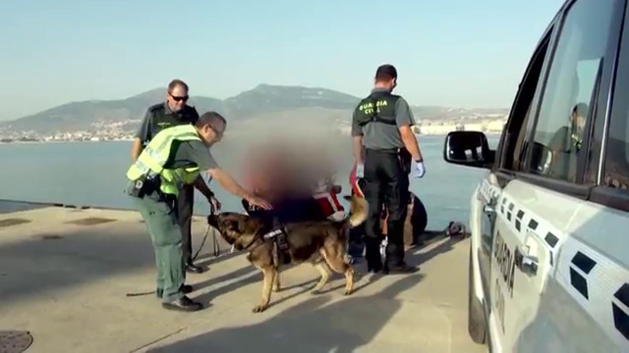 La Guardia Civil buscan personas que intentan coger un barco desde Melilla - Comandancias