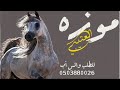 شيله باسم موزه 2024 بنت ابوها افخم شيله باسم موزه العتيبي حماسيه طرب رقص جديد 2024 