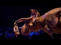 【恐竜体験】DINOSAFARI 2018 ～渋谷ヒカリエ～