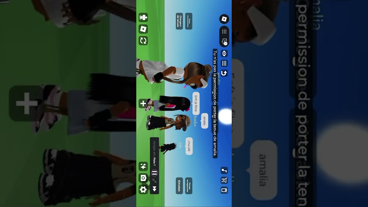 Je copie les skin des gens sur catalogue avatar ( sa part en embrouille) 