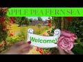 Hello and welcome to apple pea fern sea were all about flowers trees psychology creativity