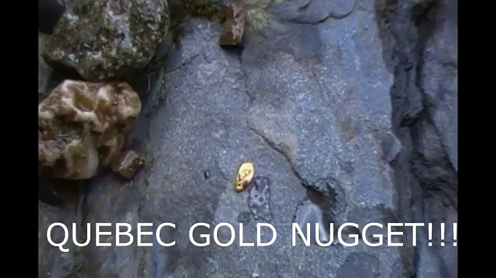 GOLD nugget found with the GARRETT AT PRO