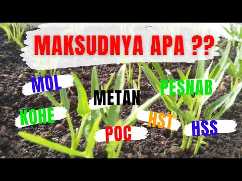 Video: Apa singkatan dari mol?