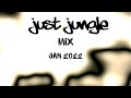 Just jungle mix 2022