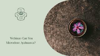 Can You Microdose Ayahuasca