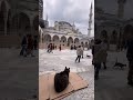 #istanbul#Ayasofya #travel #love #sokak #türkiye#bazar #walking#yerebatansarnıcı