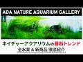 【アクアリウム】ADAネイチャーアクアリウムの最新トレンド 全水景&新商品全て紹介 ADA本社のネイチャーアクアリウムギャラリー ウェルカムデイ潜入 水草レイアウト水槽 水草水槽 熱帯魚