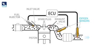 How O2 Oxygen Sensors Work Animation
