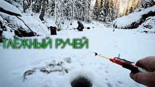 видео: ТАЁЖНЫЙ РУЧЕЙ - ПЕРВЫЙ ЛЁД #зимняярыбалка #первыйлёд #сезоноткрыт #окунь #щука #чебак #мохтик картинка: ТАЁЖНЫЙ РУЧЕЙ - ПЕРВЫЙ ЛЁД #зимняярыбалка #первыйлёд #сезоноткрыт #окунь #щука #чебак #мохтик