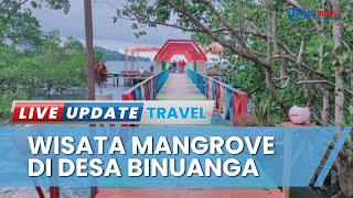 Hutan Mangrove di Desa Binuanga, Bolmut Manjakan Pengunjung dengan Suasana Asri & Spot Foto Estetik