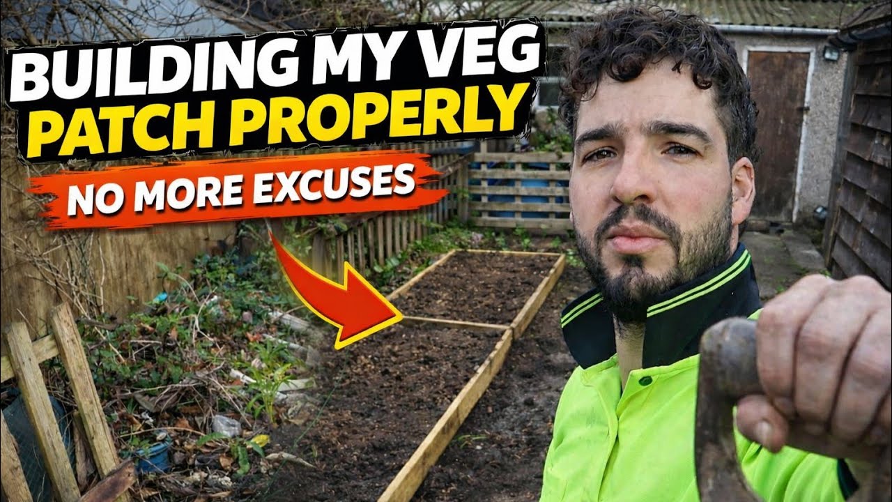 Building My Veg Patch Properly — No More Excuses