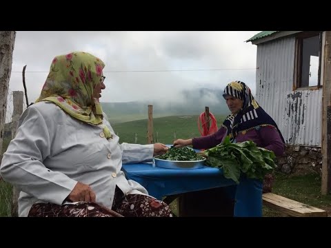 Otantik Gürcüce Dilinde Büyükanne Muhabbeti - ნანული საუბრები ნამდვილ ქართულ ენაზე