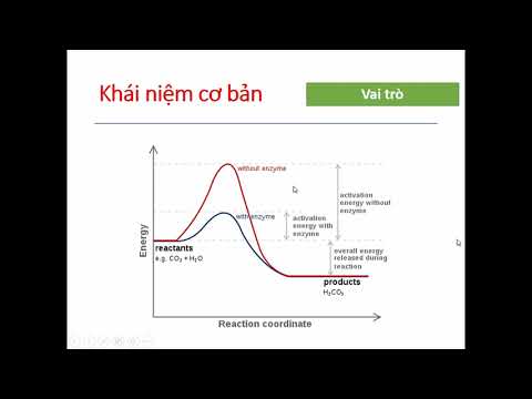 Video: Tại sao cảm ứng enzym lại quan trọng?