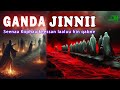 Seenaa Ajaa Ibaa Jinnii Fi Furmaata Miidhaa Isaanii The World Of Jinn In Islam Types Stories