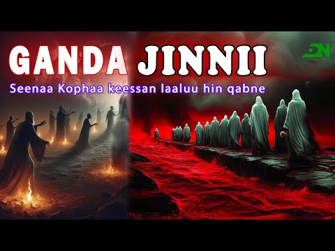 Seenaa Ajaa Ibaa Jinnii Fi Furmaata Miidhaa Isaanii The World Of Jinn In Islam Types Stories