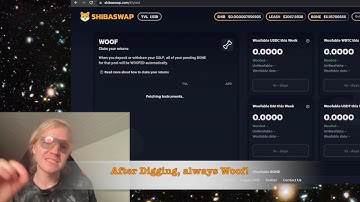 Shibaswap; Bone Governance, Tutorial How-to Gas-fees & Fix Transactions to Success