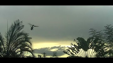 MSR with ZBAR Paddle-less flybar outdoor flight 2