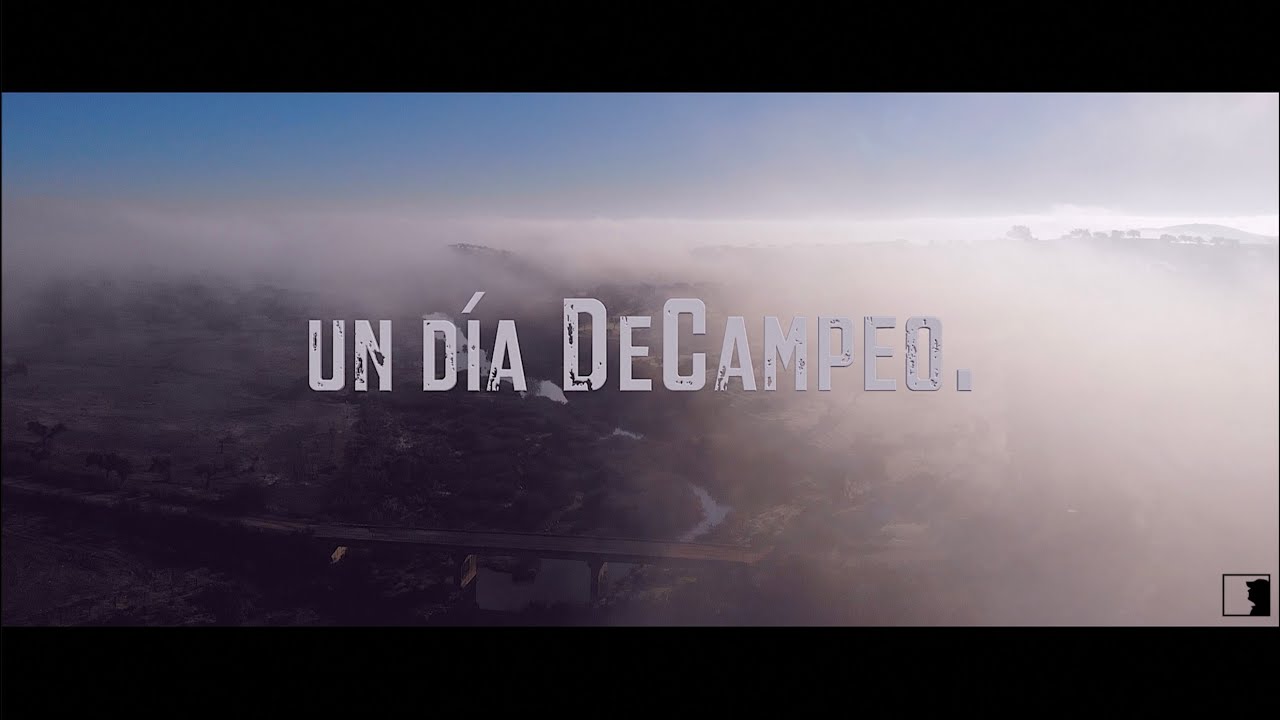UN DÍA DeCampeo. TE VIENES?