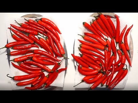 Vidéo: Comment sécher les piments au four ?