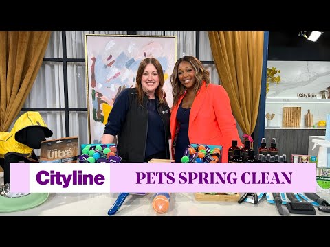 7 ways to spring clean your pet's routine