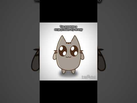 МУЗЫКА ЛЕГЕНДА!!! #pusheen #pusheenchick #подпишись #лайк #funny