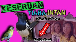 Keseruan Tiara Intan Merawat Burung Peliharaanya