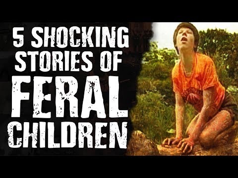 Video: 10 Shocking Stories Of Feral Children - Alternative View