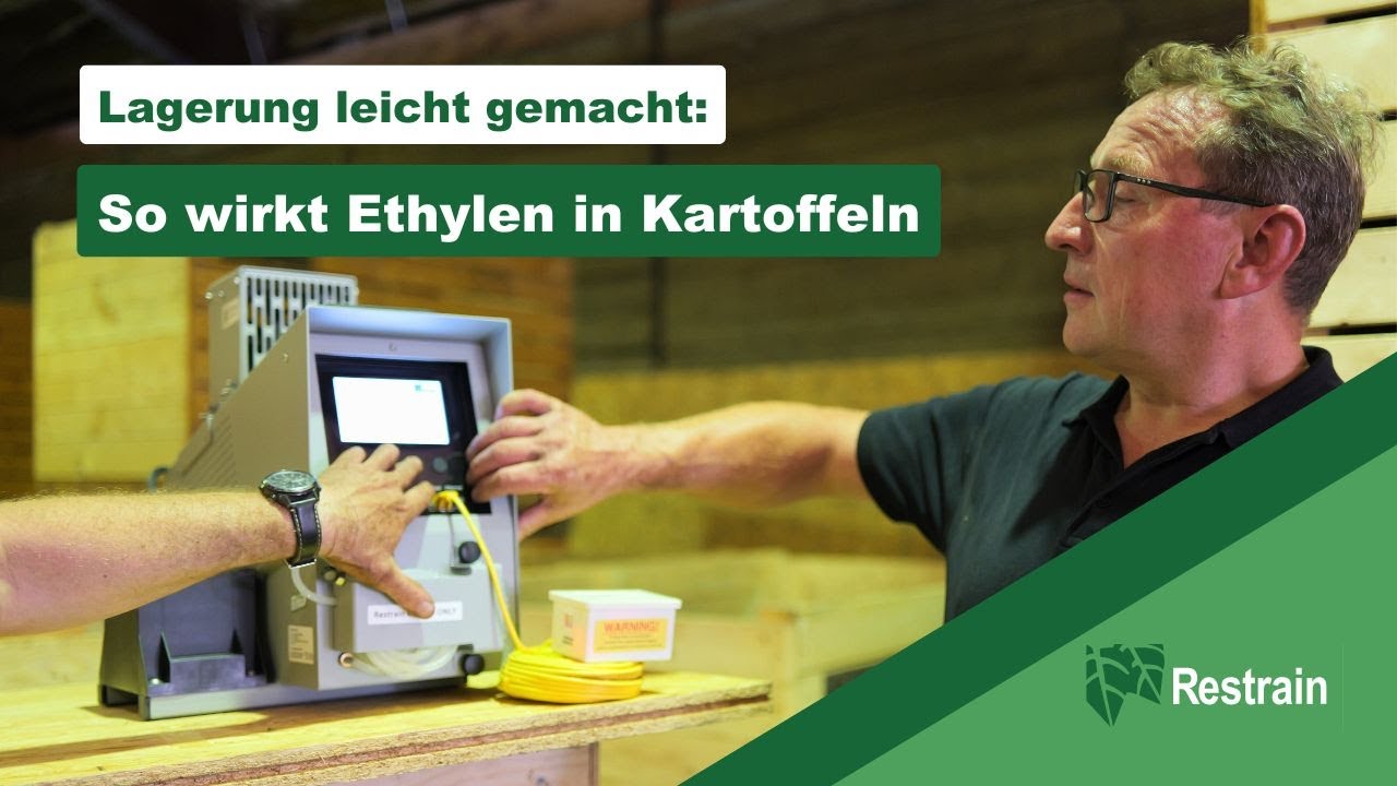 Kartoffellagerung leicht gemacht: So wirkt Ethylen in Kartoffeln