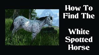 Creation Club Wild Horses, How To Find The White Spotted Horse