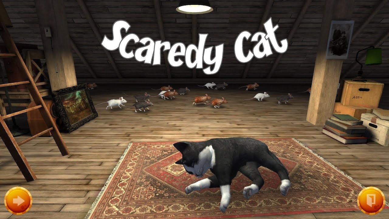 Scaredy Cats – TV on Google Play