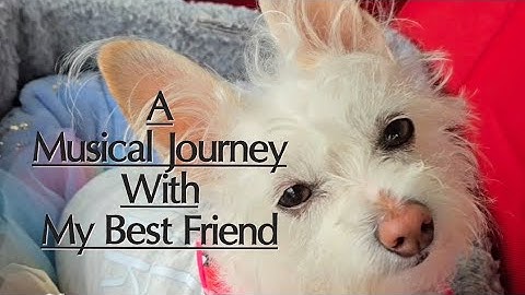 🥰 Wigglez Chroniclez: A musical journey with my best friend.