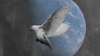 Consumed By Fire - First Things First Audio