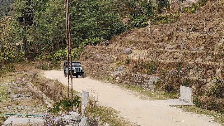 Willys jeep CJ 3B 1962 WWJ