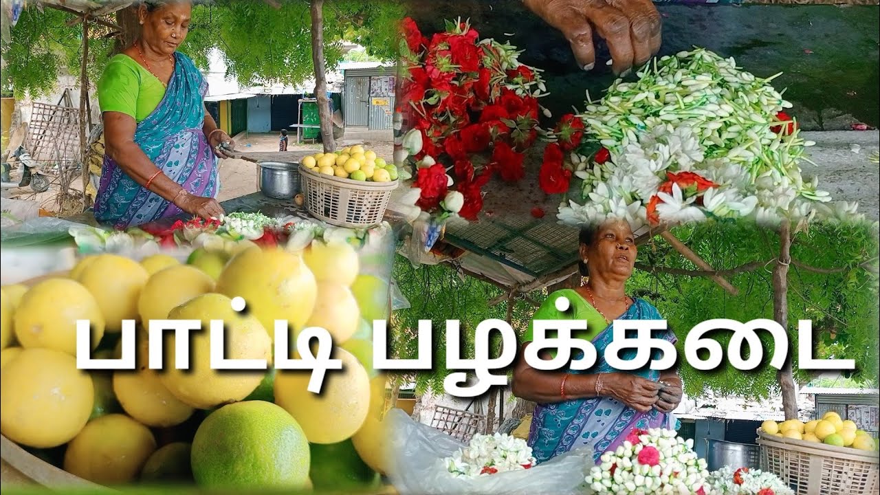 Grandma Fruit 🍓 Shop in Tamil Nadu|| TN 32 || Arasur 🥰 Singing Tamizha ...
