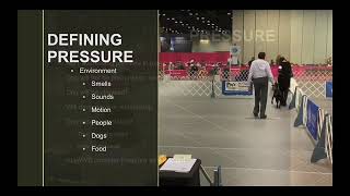 FDSA webinar Petra Ford - Thriving Under Pressure