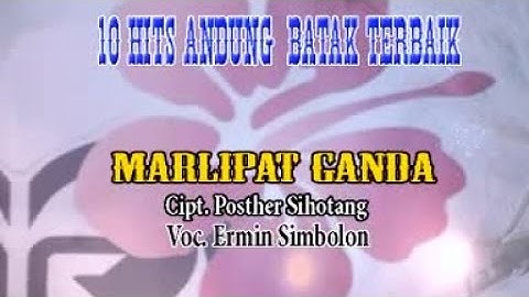 Ermin Simbolon - Marlipat Ganda (Official Musik Video)